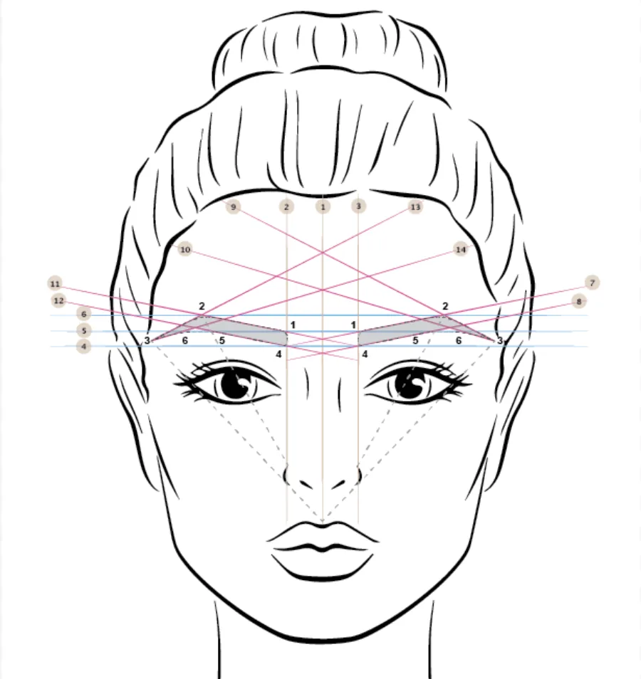 Detailed facial brow mapping diagram showing measurement lines and symmetry points